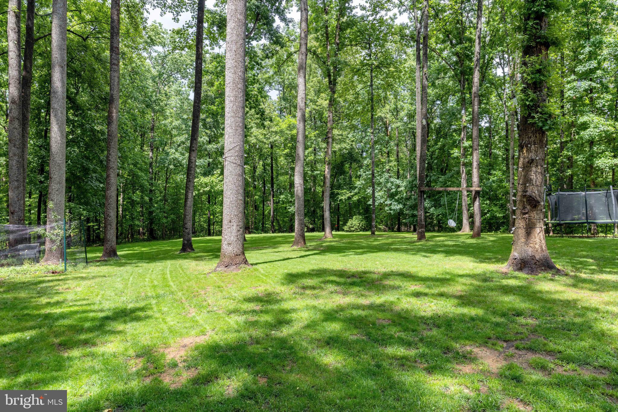 1425 Jacks Shop Road Rochelle, VA 22738 - Photo 55 of 56 a view of a park with large trees