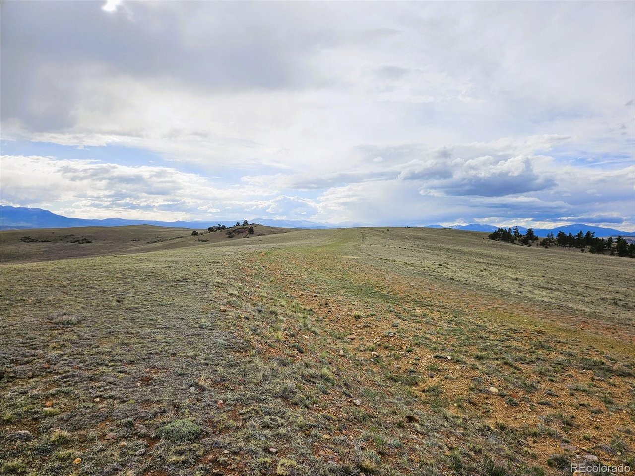 24139 Antero Road Hartsel, CO 80449 - Photo 23 of 35