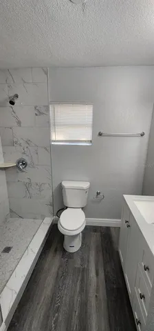 a bathroom with a sink and a toilet