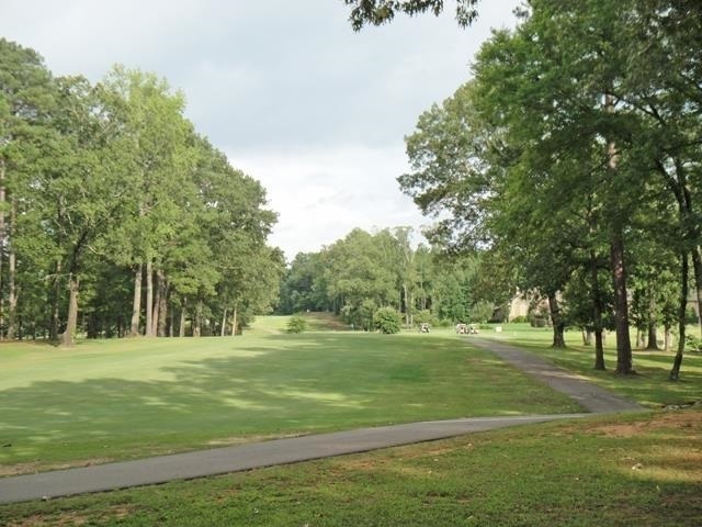 a big yard with lots of trees