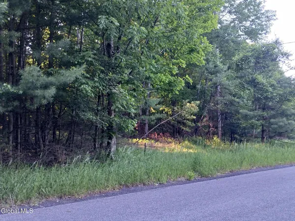 $68,500 | 24 Tannery Lane, Hague, NY 12836