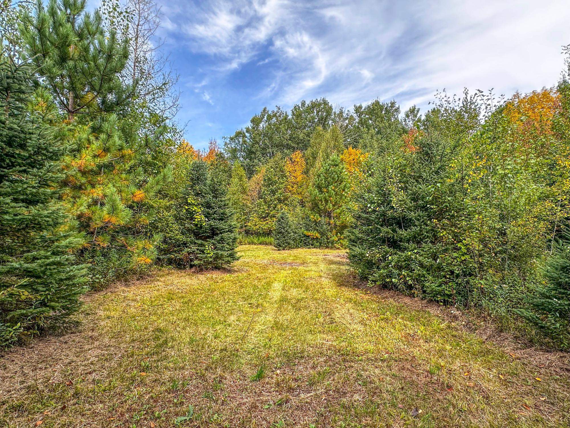 72281 Hennes Road Glidden, WI 54527 - Photo 43 of 50