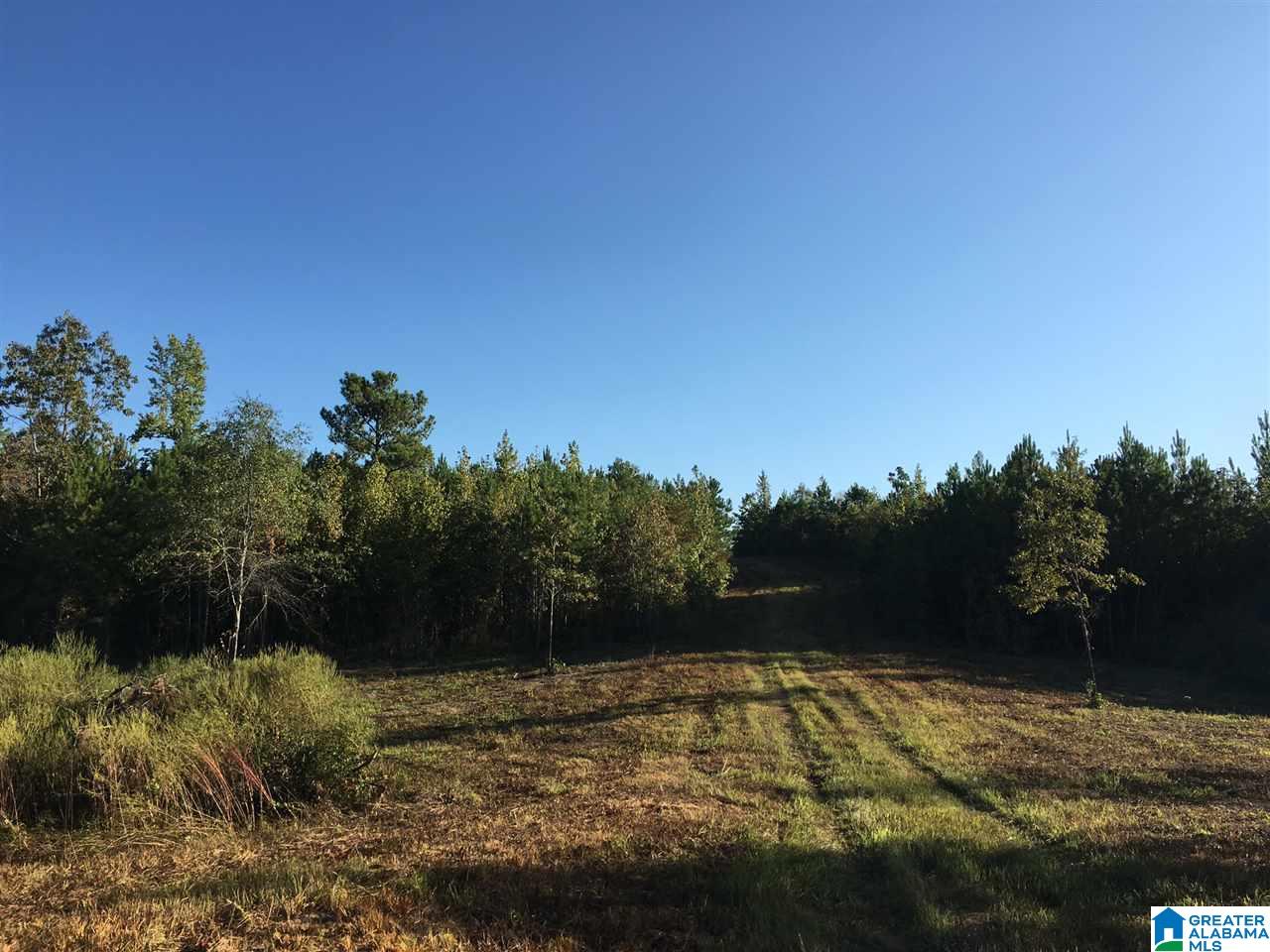 220 Gant Road, Unit 106 AC Pell City, AL 35128 - Photo 17 of 23