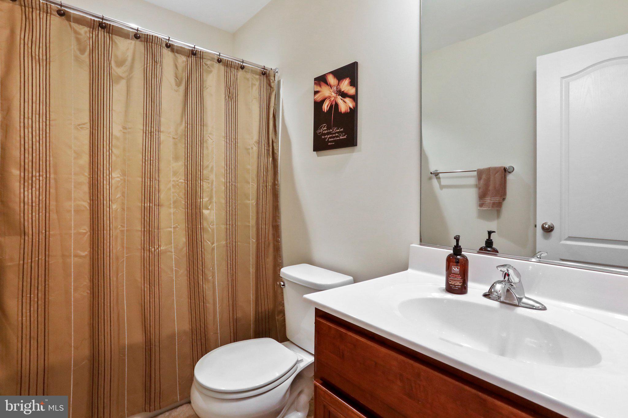 209 Schramm Loop Stephens City, VA 22655 - Photo 18 of 31 Hall Bath