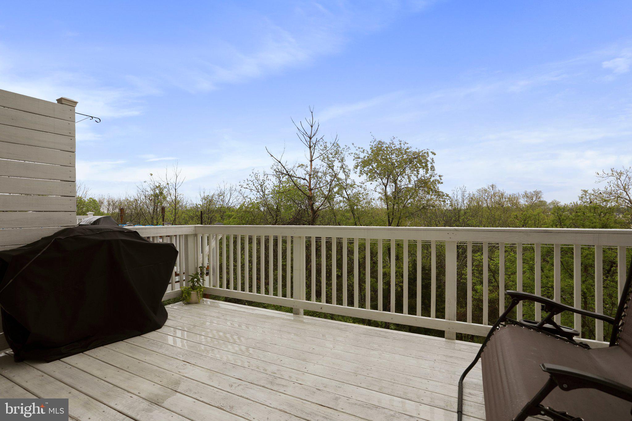 209 Schramm Loop Stephens City, VA 22655 - Photo 29 of 31