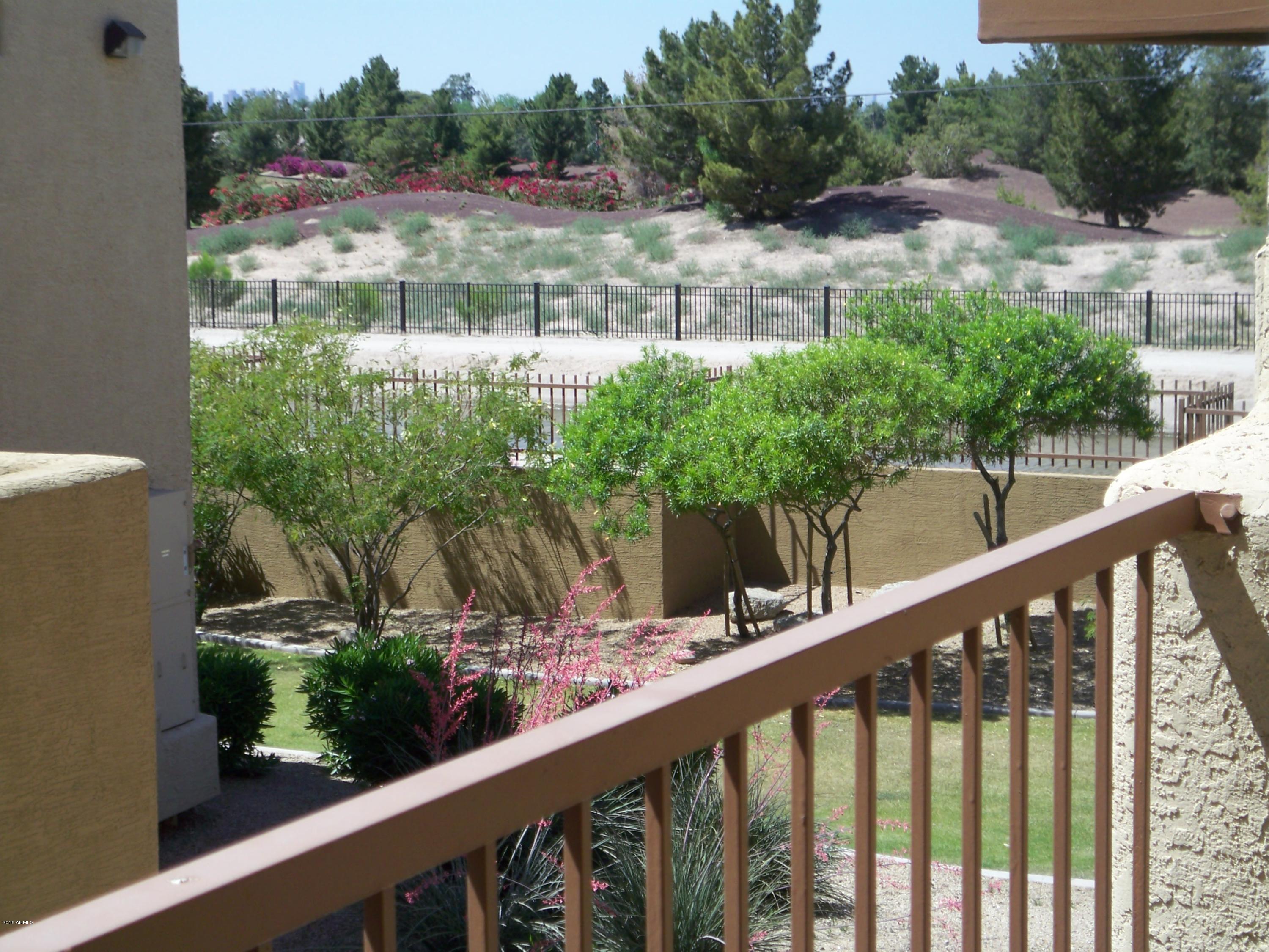 3434 East Baseline Road, Unit 215 Phoenix, AZ 85042 - Photo 17 of 17 100_0283