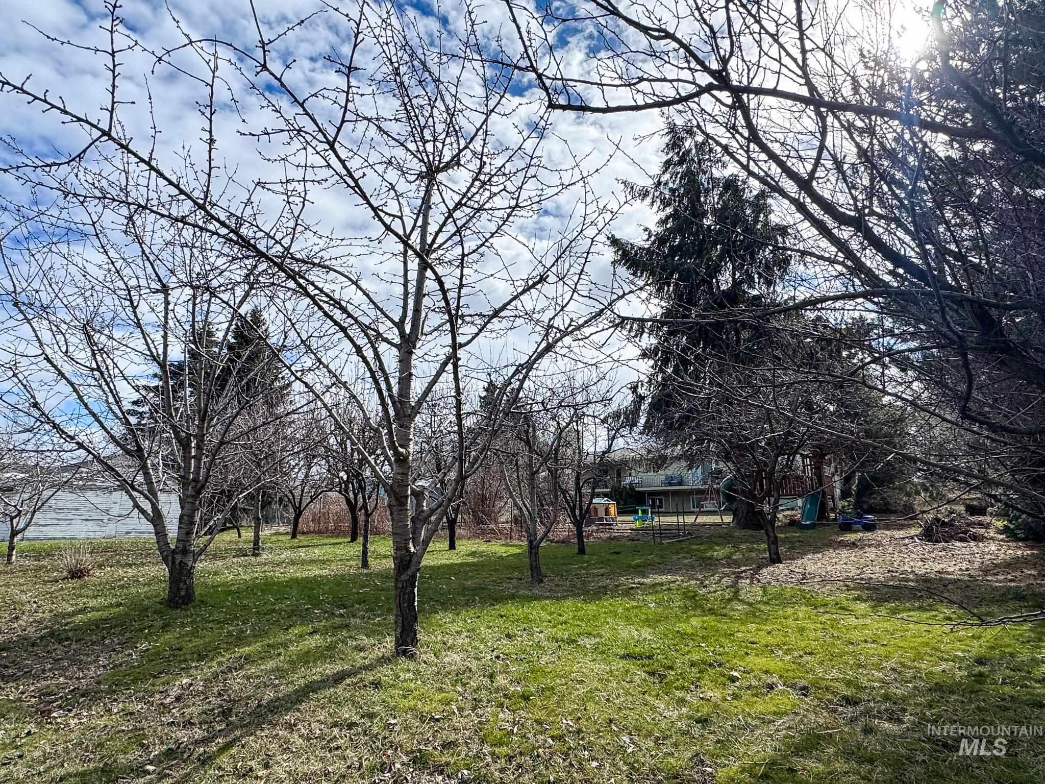 703 College Street Colton, WA 99113 - Photo 40 of 50