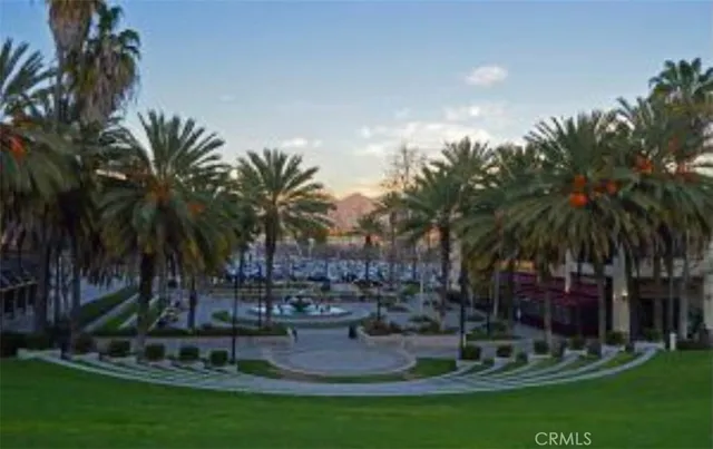 a garden view with palm trees