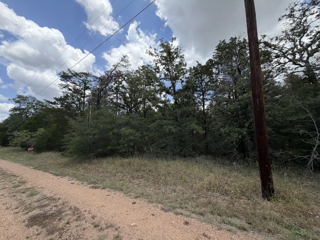 Tbd Red Fox Lane Bastrop, TX 78602 - Photo 12 of 14 A natural, untouched landscape awaits, offering abundant trees and a tranquil setting.