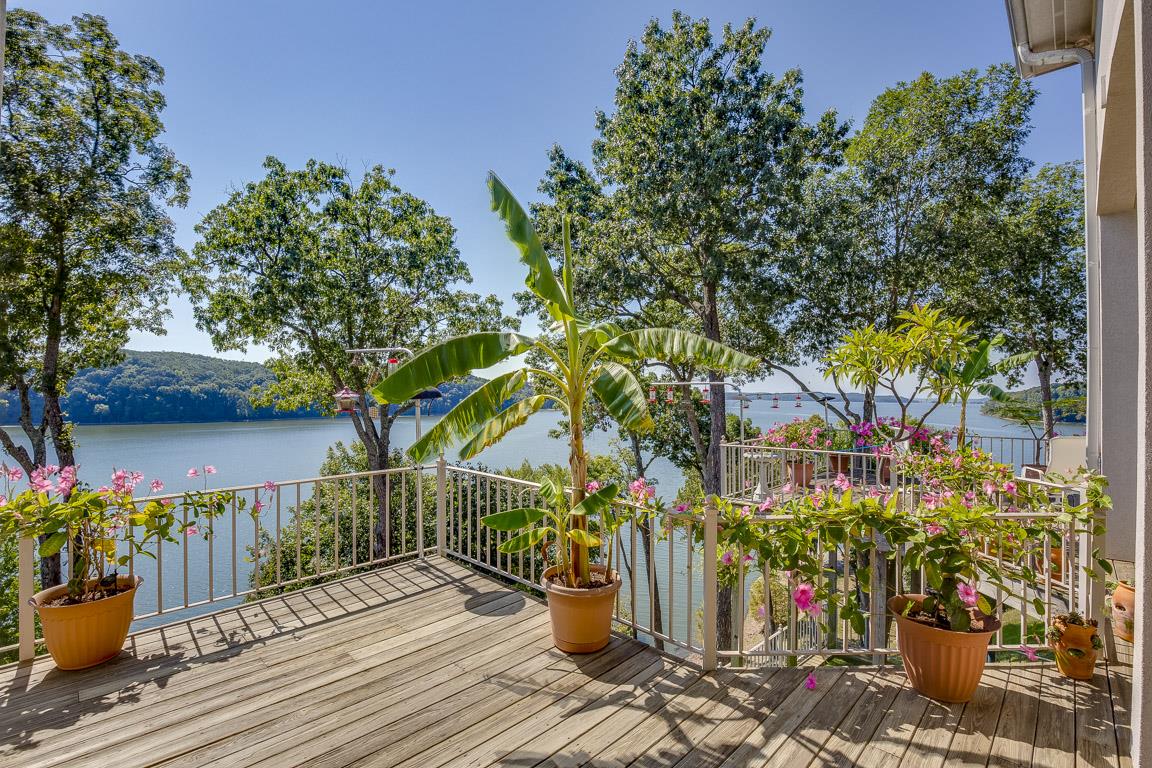 328 River Trace Road Dover, TN 37058 - Photo 24 of 30 a view of a potted flower in a yard next to a house