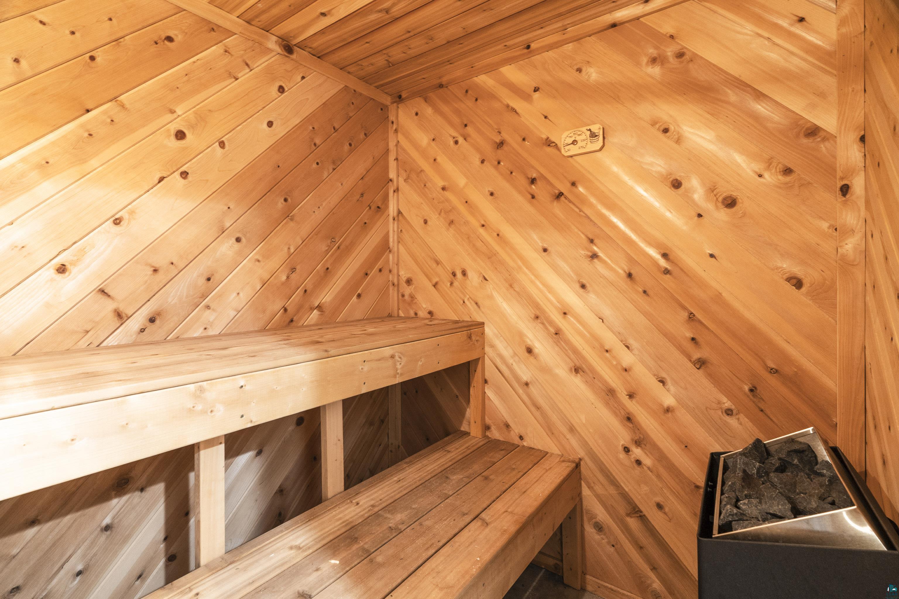 808 Ridgewood Road Duluth, MN 55804 - Photo 43 of 50 Sauna