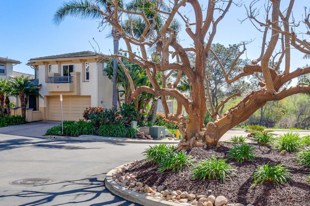 2738 MacKinnon Ranch Road Cardiff-by-the-Sea, CA 92007 - Photo 45 of 58 a front view of house with yard and green space