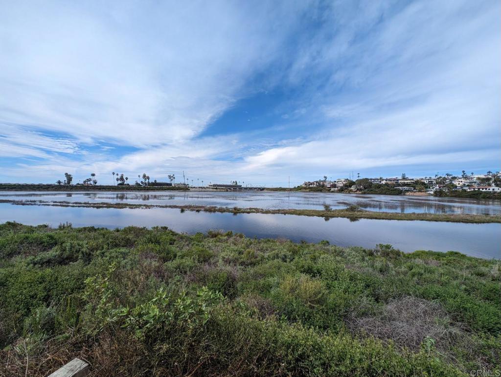 2738 MacKinnon Ranch Road Cardiff-by-the-Sea, CA 92007 - Photo 55 of 58 a view of a lake with houses in the back