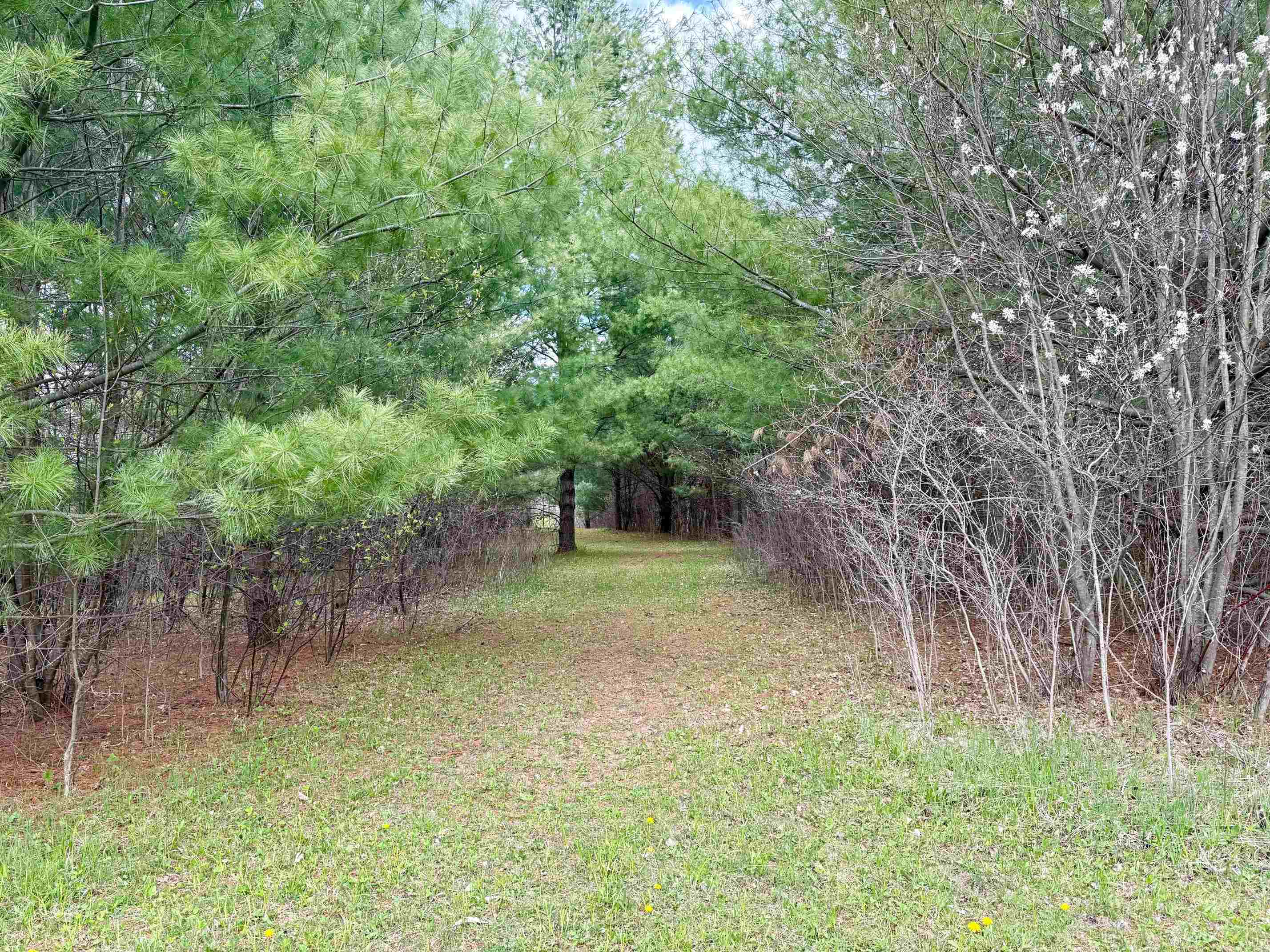 4921 East County Line Road Hale, MI 48739 - Photo 24 of 30