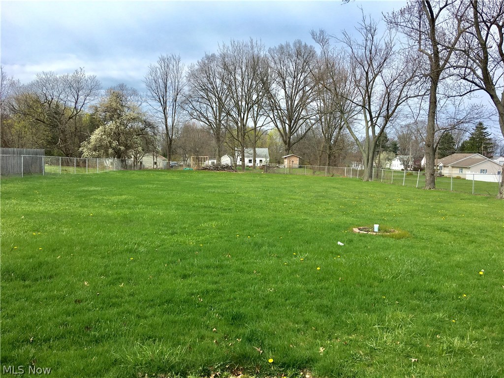 767 Killian Road Akron, OH 44319 - Photo 4 of 14 large fenced in yard!