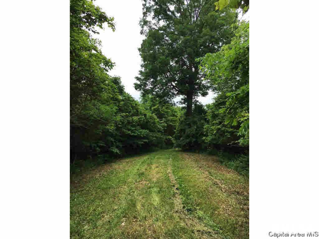287 Tower Road Elizabethtown, IL 62931 - Photo 28 of 34
