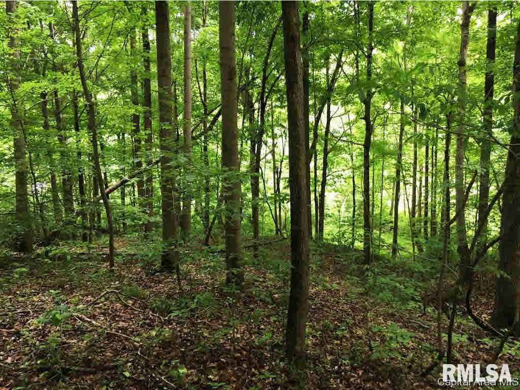 287 Tower Road Elizabethtown, IL 62931 - Photo 29 of 34
