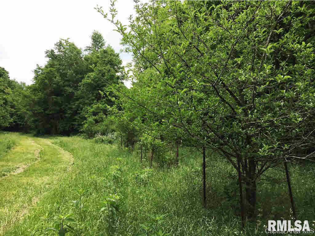 287 Tower Road Elizabethtown, IL 62931 - Photo 30 of 34