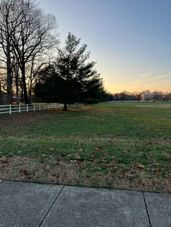 a view of a field with trees