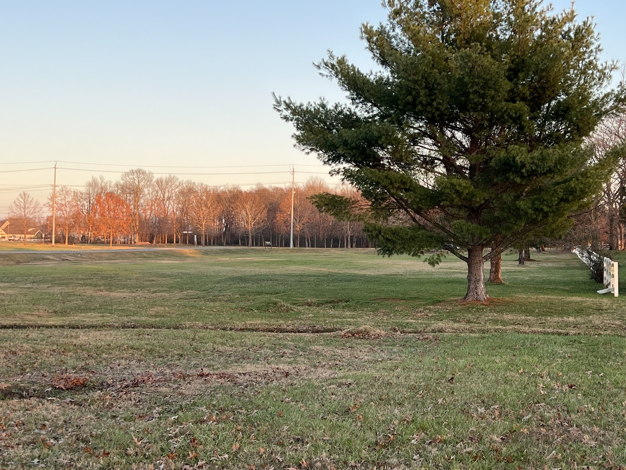 0 Siegel Road Murfreesboro, TN 37129 - Photo 2 of 4 a view of a field with trees