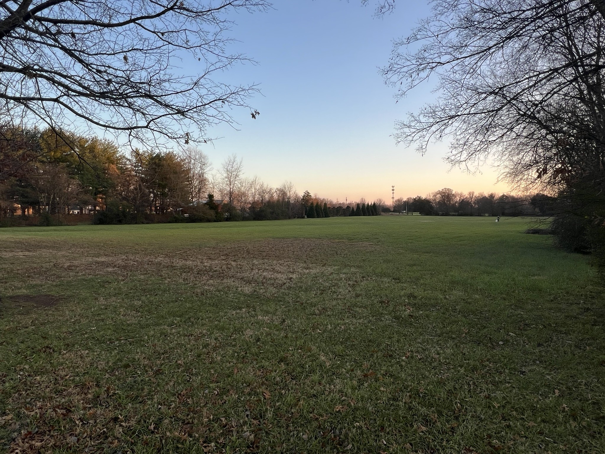 0 Siegel Road Murfreesboro, TN 37129 - Photo 4 of 4 a view of a field of grass and trees