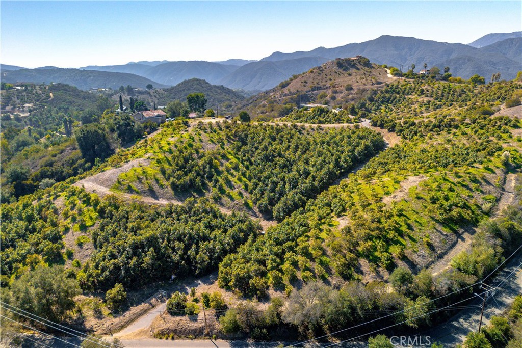 a view of a lush green hillside and a houses