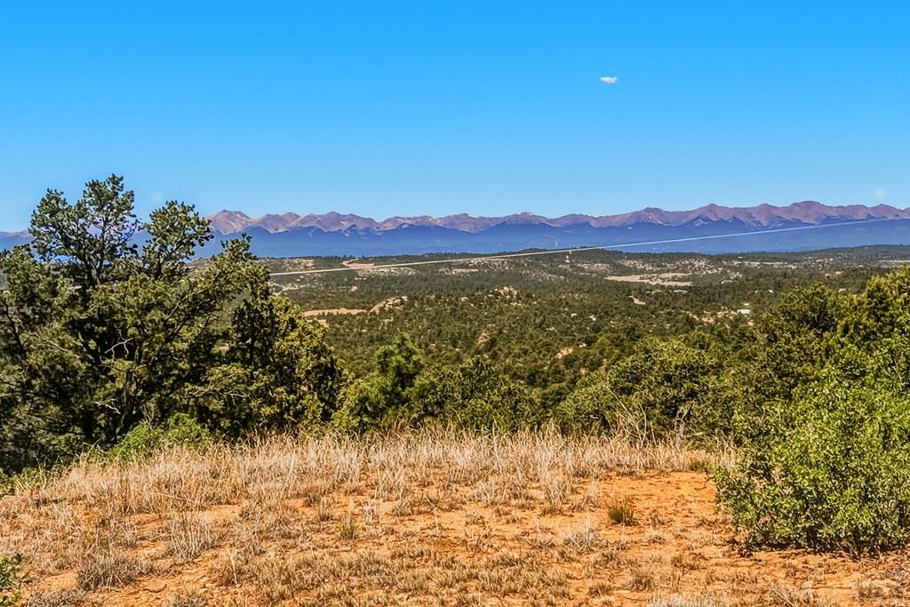 24900 County Road Boncarbo, CO 81024 - Photo 42 of 52