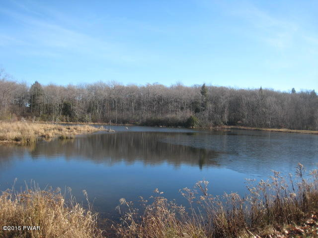 1050 Ravnikar Road Forest City, PA 18421 - Photo 1 of 28