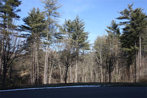 31 The Valley Road Concord, MA 01742 - Photo 13 of 15 Gallery Image 13