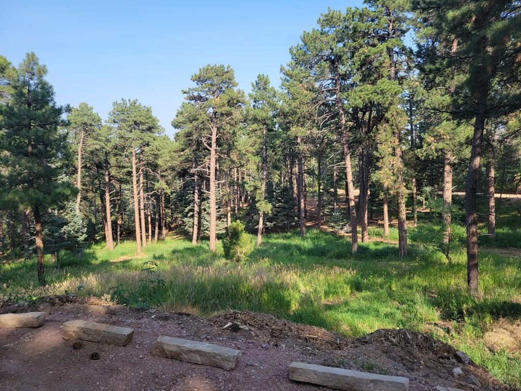 8335 Zorn Road Rye, CO 81069 - Photo 34 of 49