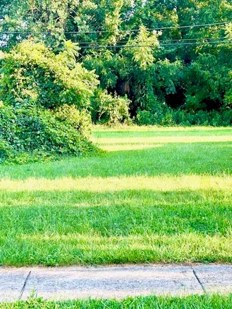 a view of yard with green space