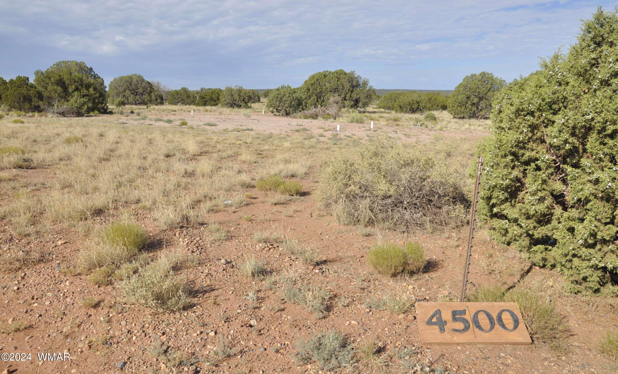 4500 Mountain View Road Snowflake, AZ 85937 - Photo 1 of 9 primary