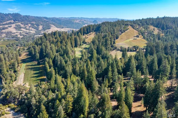 $5,500,000 | 20205 Tumbling McD Road, Philo, CA 95466