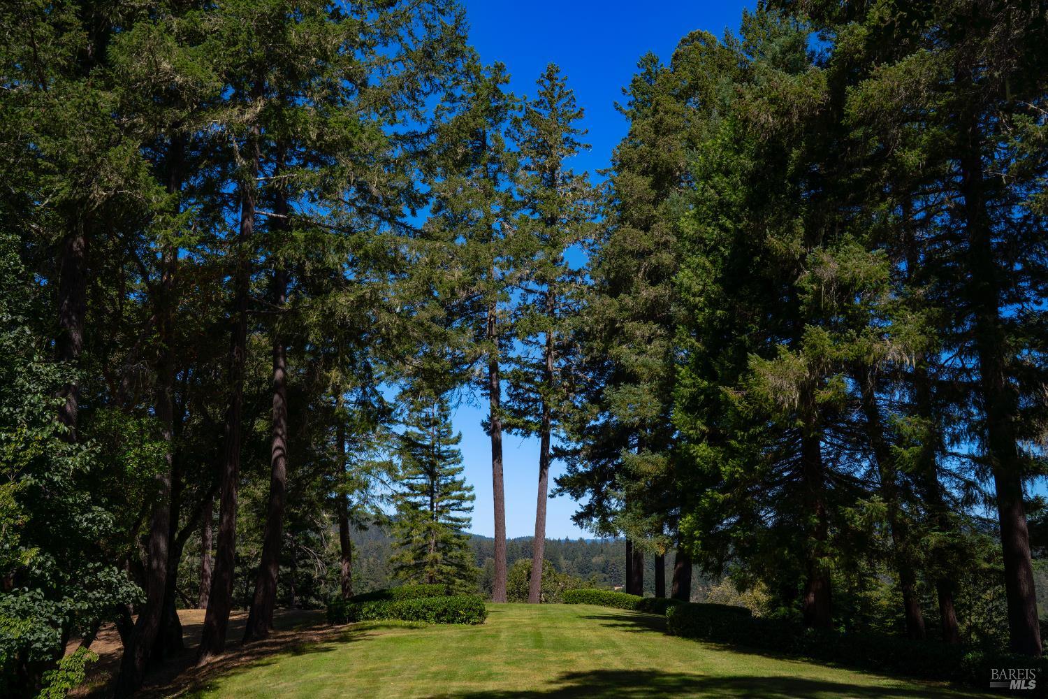 20205 Tumbling McD Road Philo, CA 95466 - Photo 47 of 78