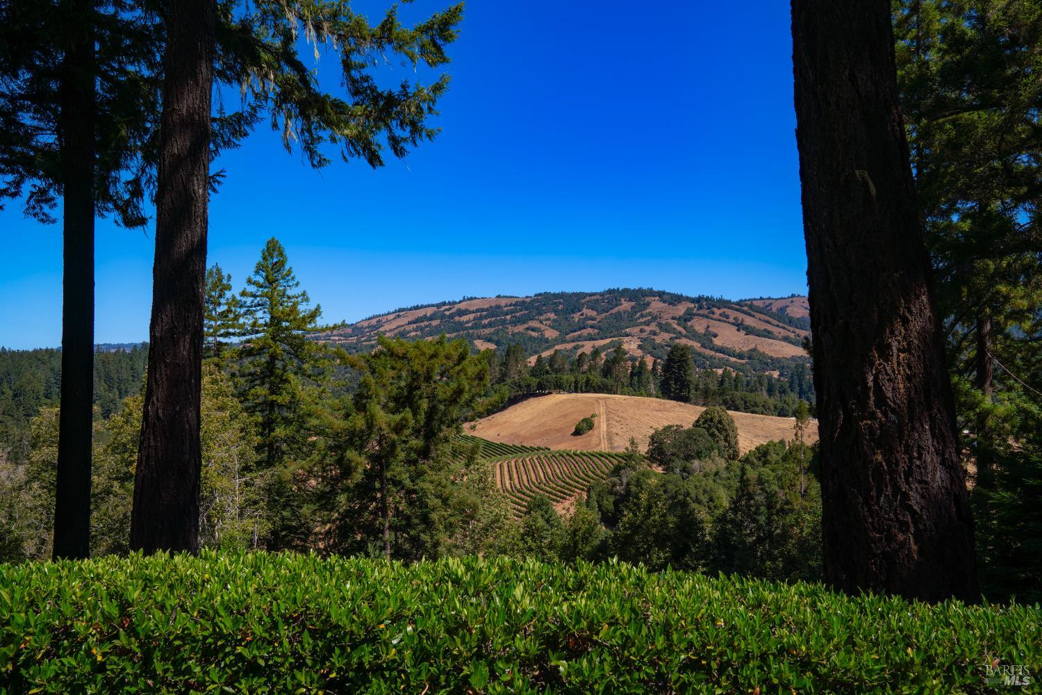 20205 Tumbling McD Road Philo, CA 95466 - Photo 48 of 78