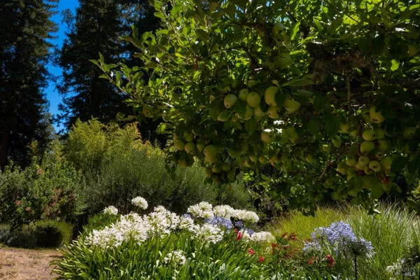 $5,500,000 | 20205 Tumbling McD Road, Philo, CA 95466