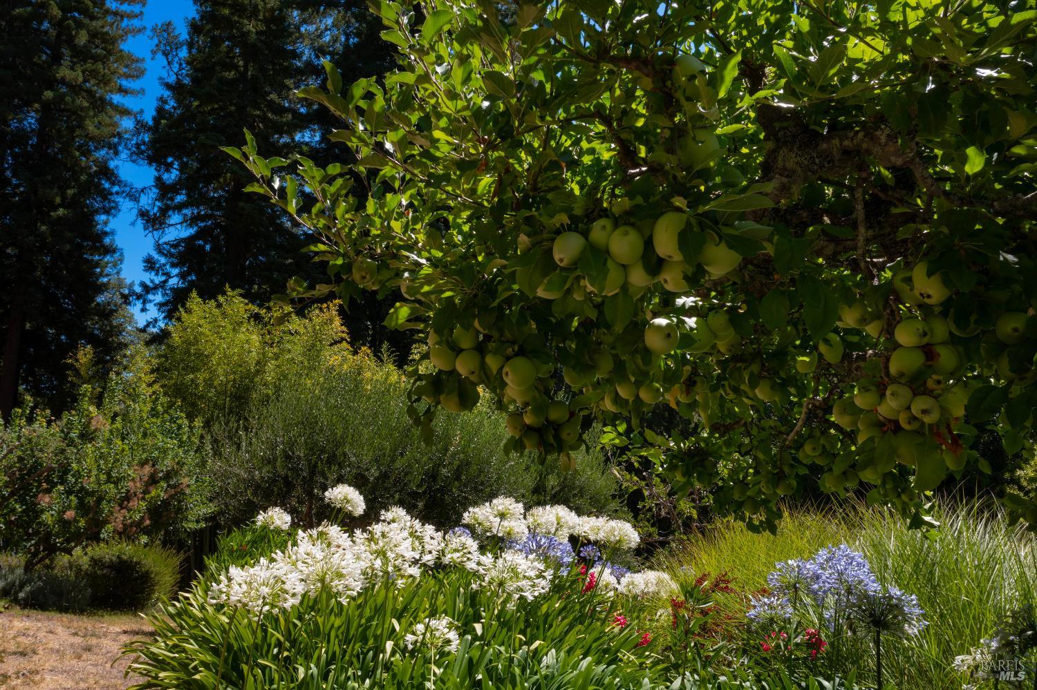 20205 Tumbling McD Road Philo, CA 95466 - Photo 61 of 78