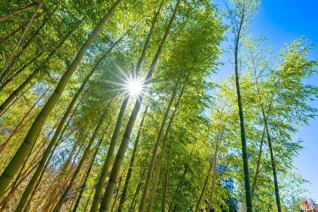 $5,500,000 | 20205 Tumbling McD Road, Philo, CA 95466