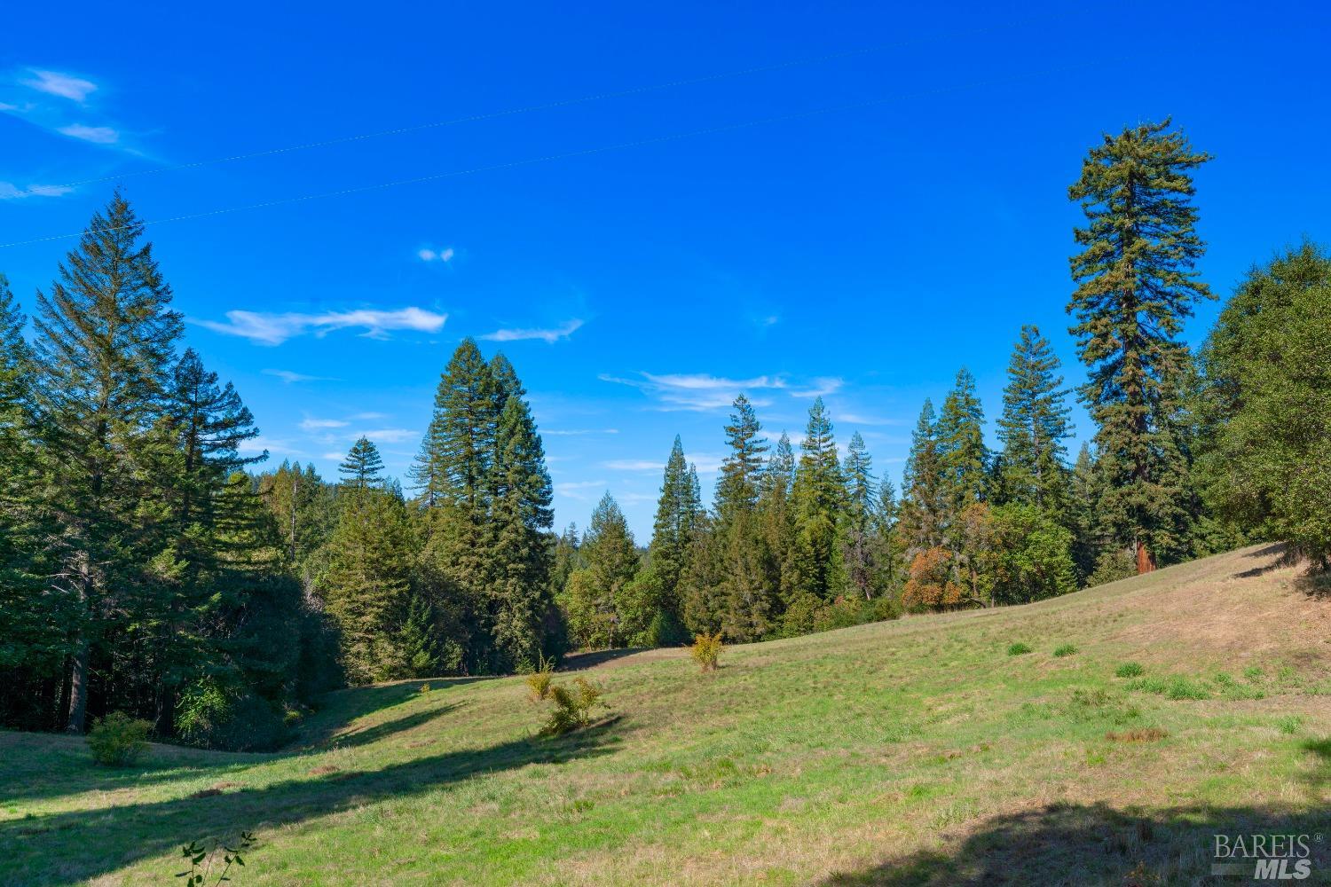 20205 Tumbling McD Road Philo, CA 95466 - Photo 65 of 78