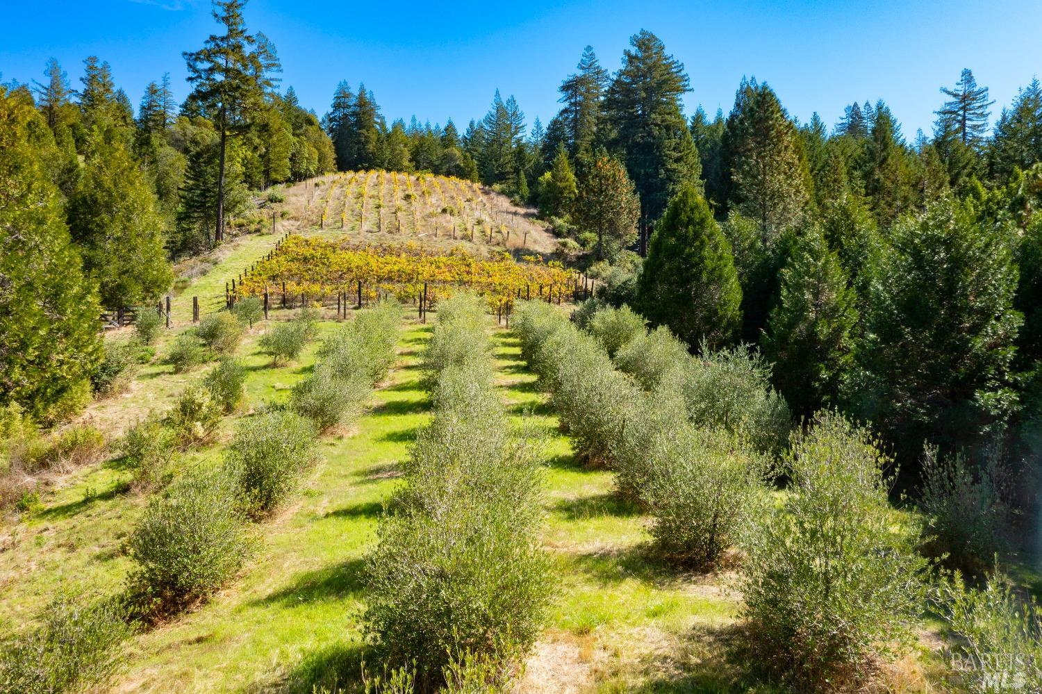 20205 Tumbling McD Road Philo, CA 95466 - Photo 66 of 78