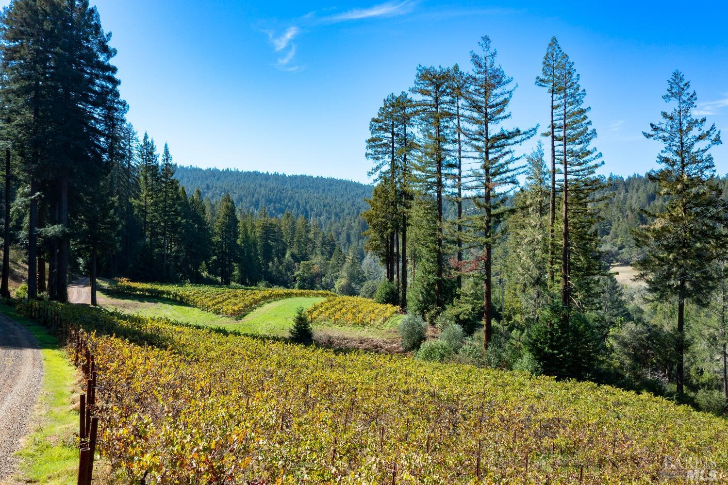 20205 Tumbling McD Road Philo, CA 95466 - Photo 67 of 78