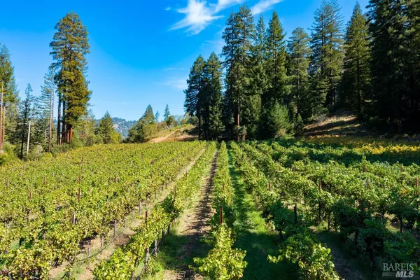 $5,500,000 | 20205 Tumbling McD Road, Philo, CA 95466
