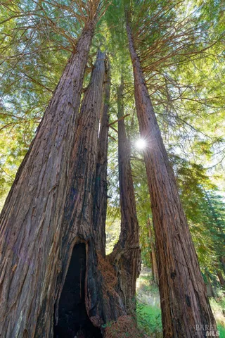 $5,500,000 | 20205 Tumbling McD Road, Philo, CA 95466