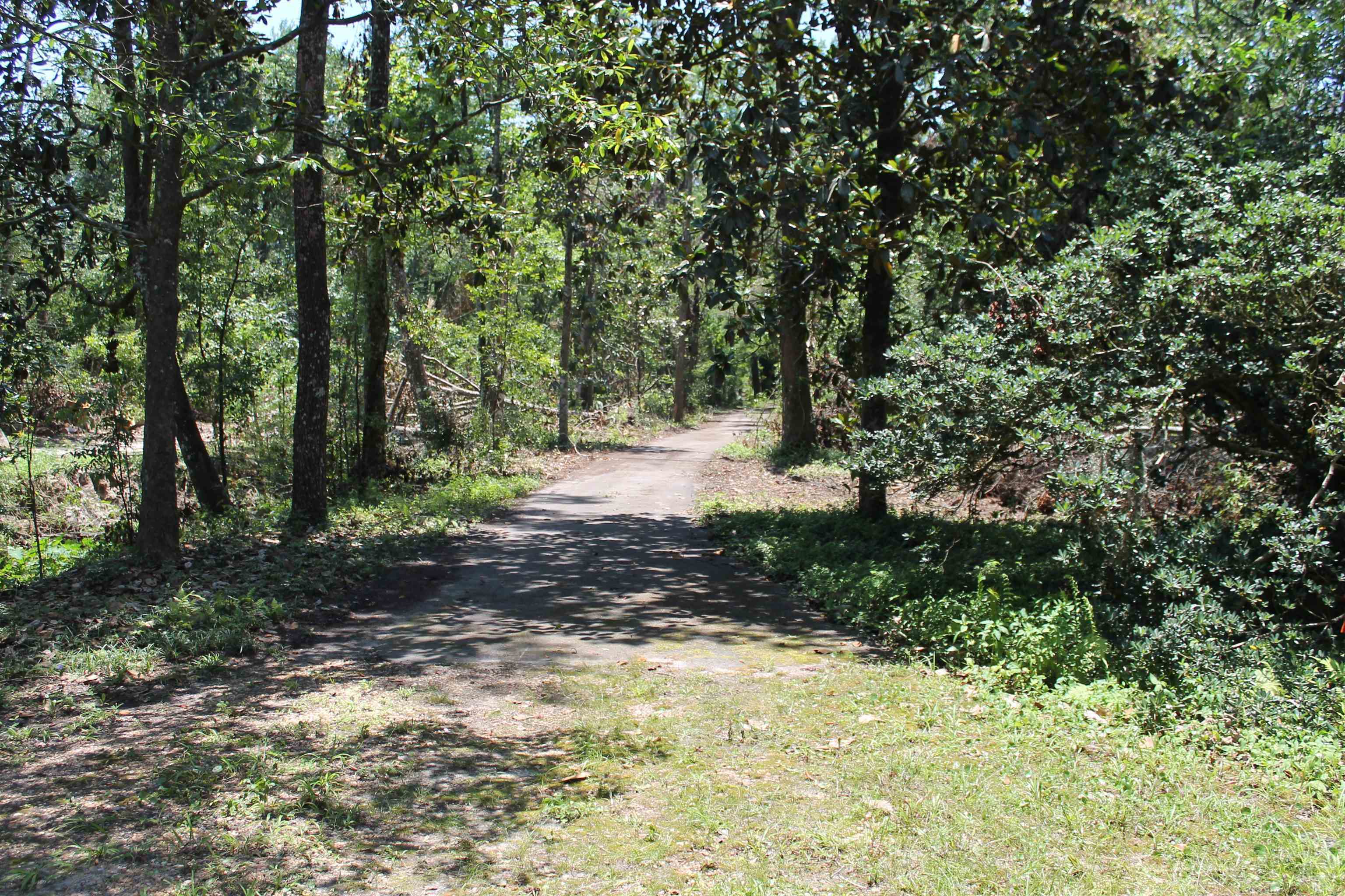 1510 Chocksacka Nene Tallahassee, FL 32301 - Photo 1 of 9