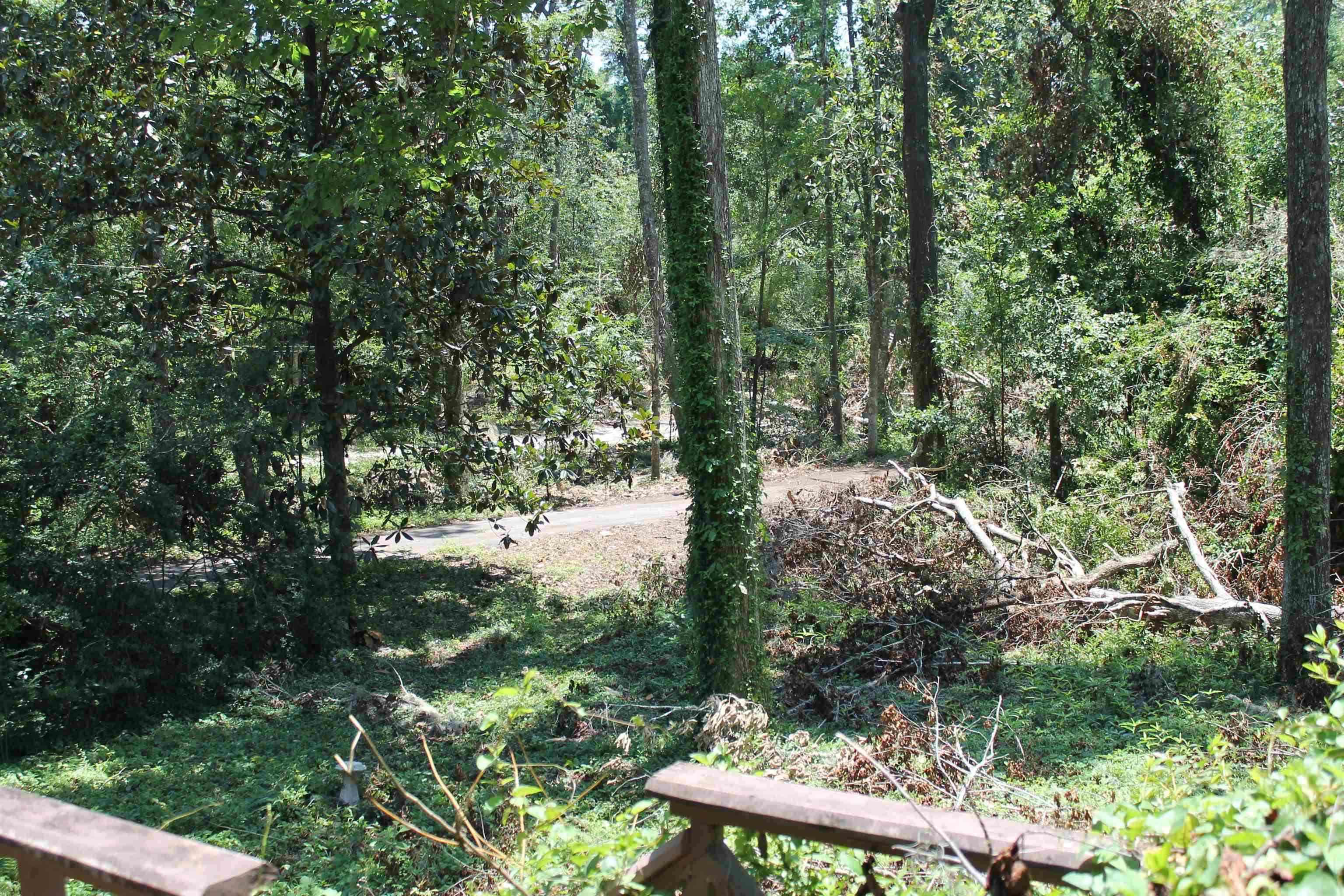 1510 Chocksacka Nene Tallahassee, FL 32301 - Photo 3 of 9