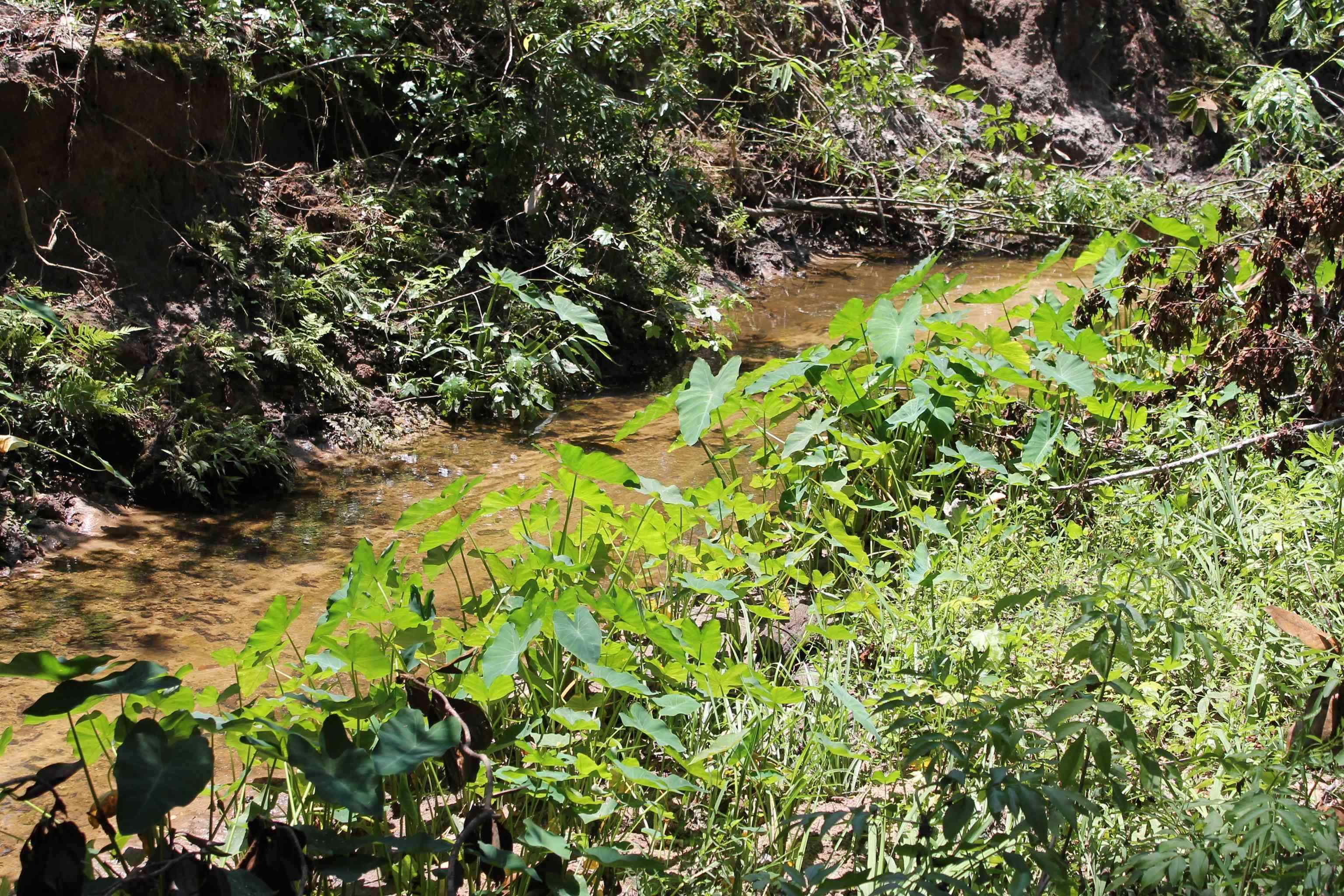 1510 Chocksacka Nene Tallahassee, FL 32301 - Photo 6 of 9