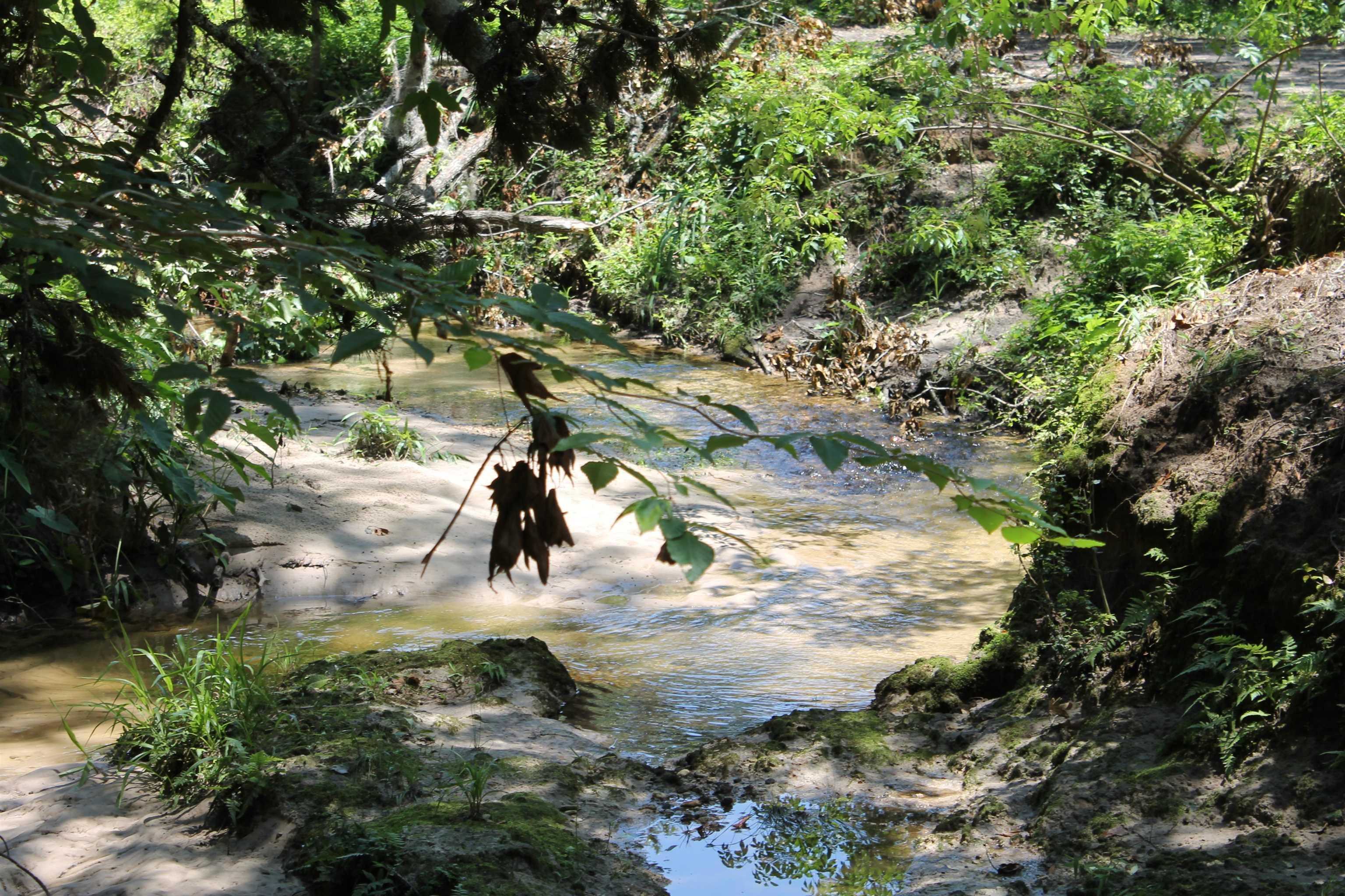 1510 Chocksacka Nene Tallahassee, FL 32301 - Photo 7 of 9