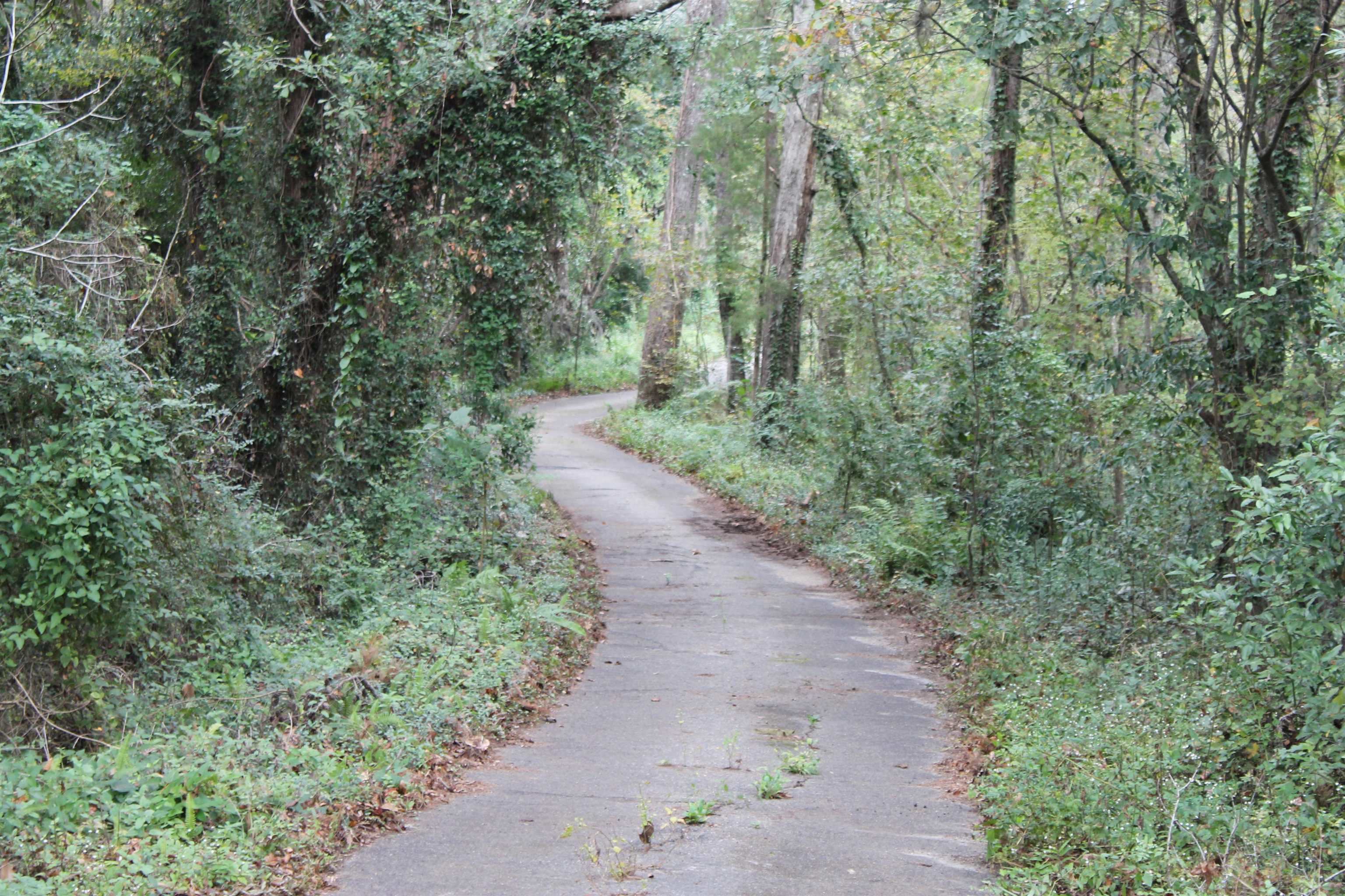 1510 Chocksacka Nene Tallahassee, FL 32301 - Photo 8 of 9