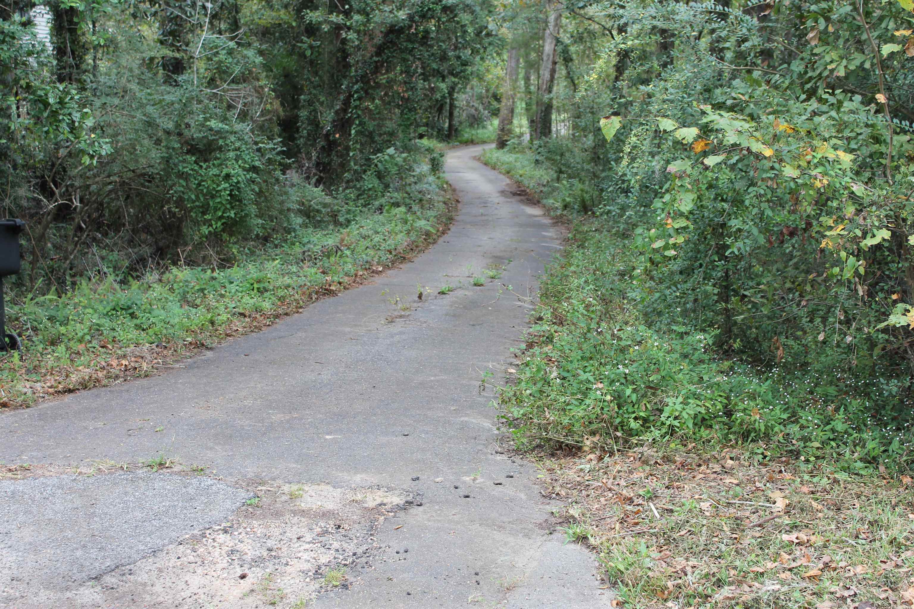 1510 Chocksacka Nene Tallahassee, FL 32301 - Photo 9 of 9