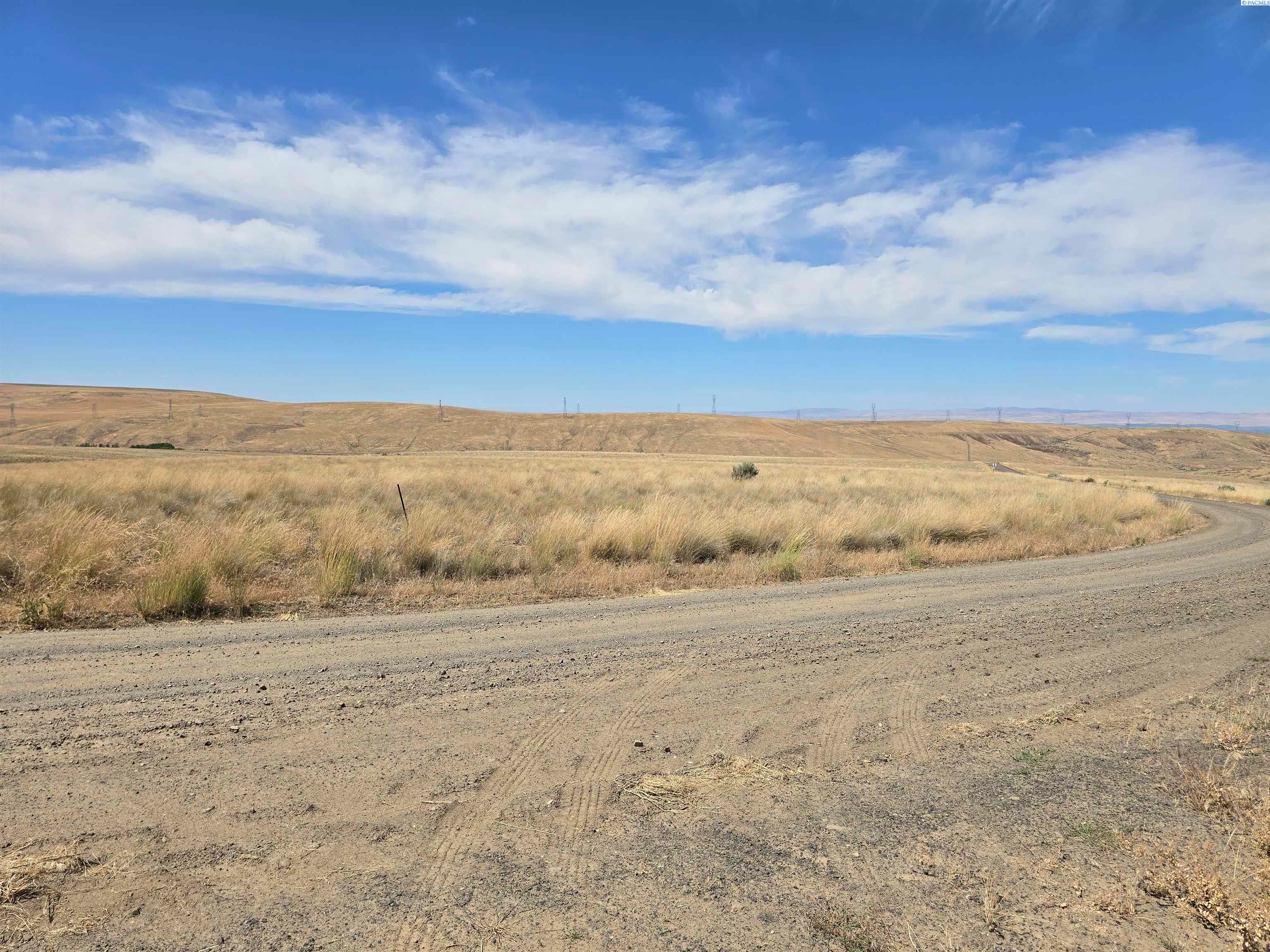 Lot 4 Turpin Road Mabton, WA 98935 - Photo 10 of 27 Gallery Image 10